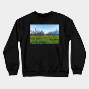 Mustard Field Crewneck Sweatshirt